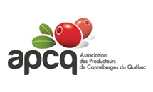 logo sadace
